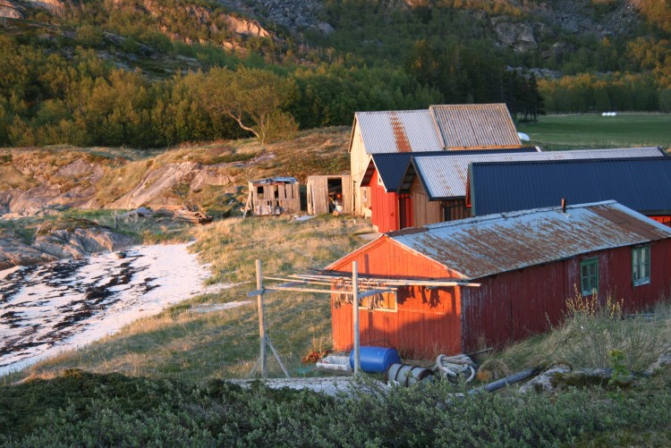 Rekruttering i Nord-Salten